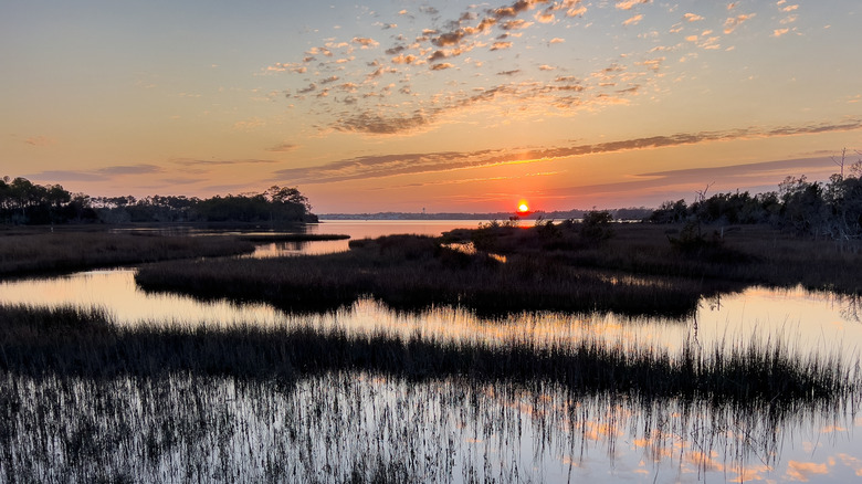 Sunset over marshland reflected in calm water in Croatan National Forest, North Carolina.