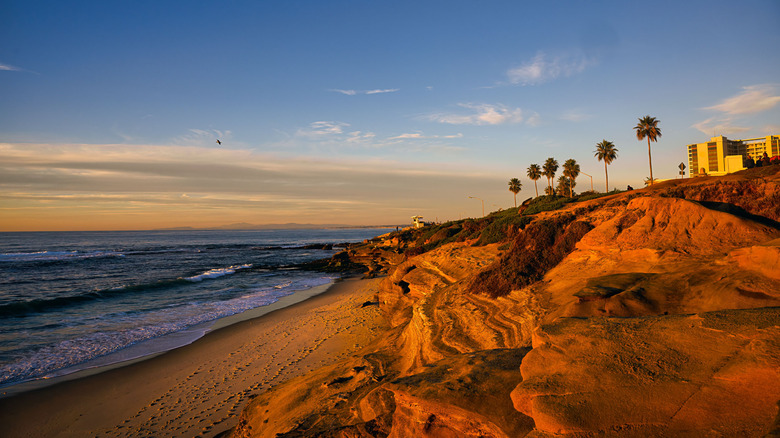 Palm trees top the cliffs of La Jolla, California