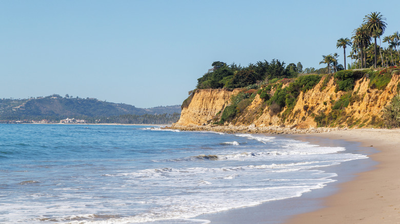 A beach near Santa Barbara with sun on the sand and palm trees lining the clifftops