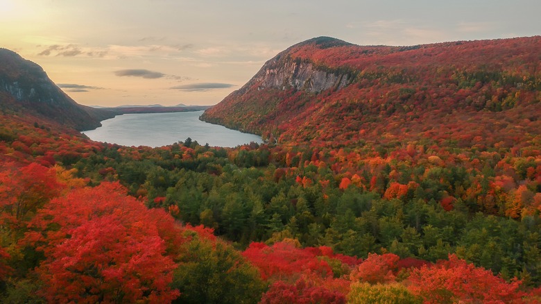 Aerial view of Vermont with fall foliage