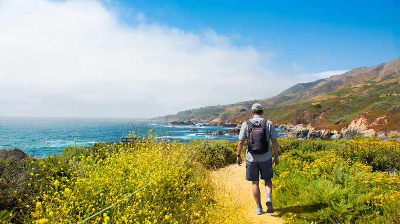 A hiker in Big Sur, California