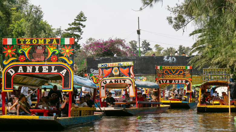 Traditional boats dot the canals of Xochimilco, Mexico