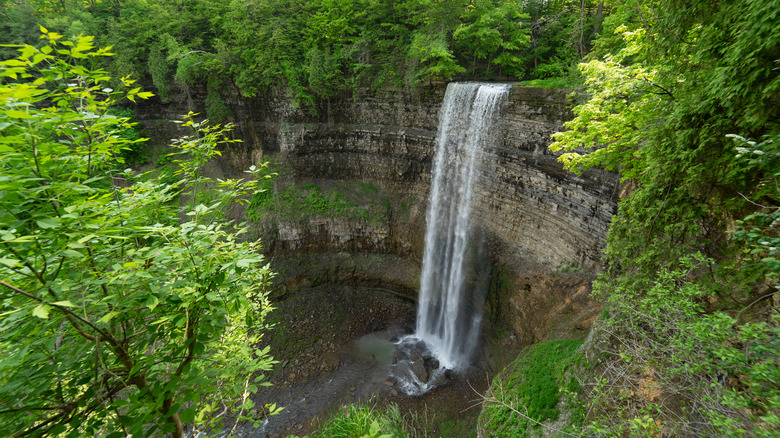 Tews Waterfall, a cascade over a cliff surrounded by greenery, in Hamilton, Ontario, Canada