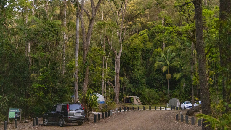 Camping ground in dense forest in Australia.