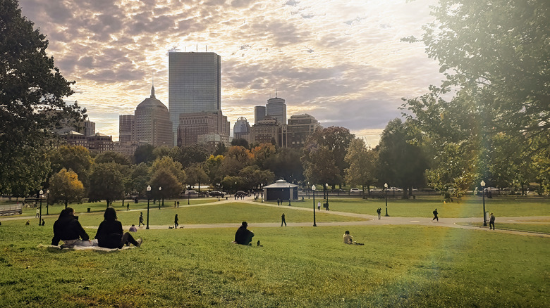 Boston park with city in background