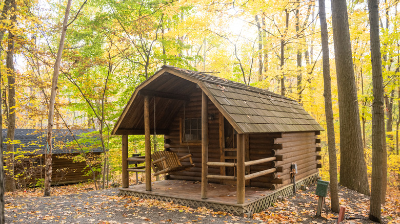 A log KOA cabin surrounded by trees with autumn foliage.