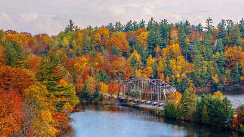 Marquette Michigan in the peak of colorful fall foliage