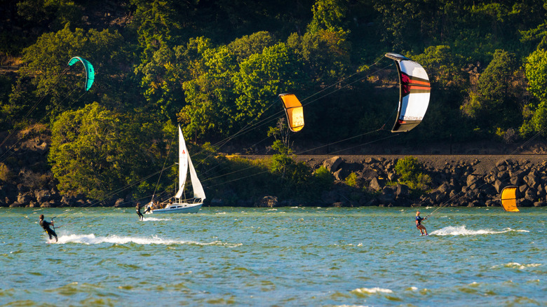 Kitesurfers skim across the water with trees in the background