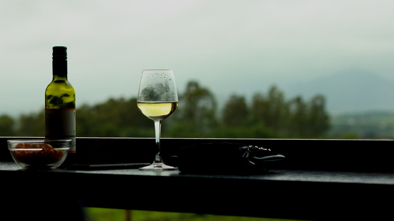 Glass of white wine with mountain in background