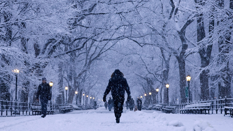 Someone outdoors in the snow in Central Park, New York