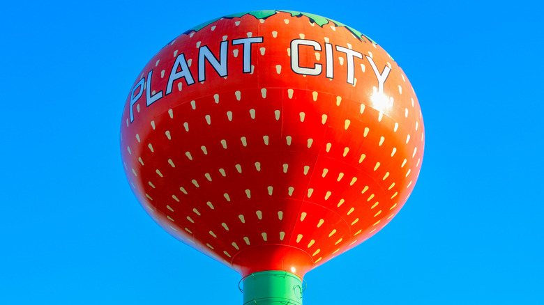 Water tower in Plant City, Florida