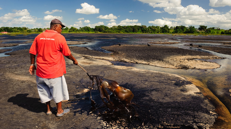 A guide showing tar blowing in the wind while walking on Pitch Lake