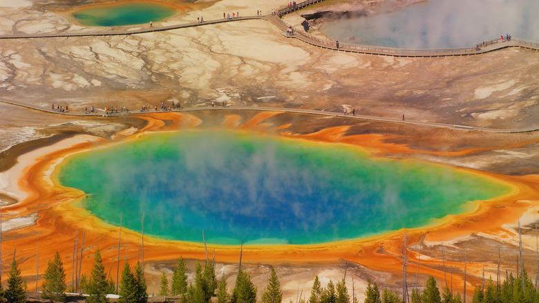 The Grand Prismatic Spring in Yellowstone National Park.
