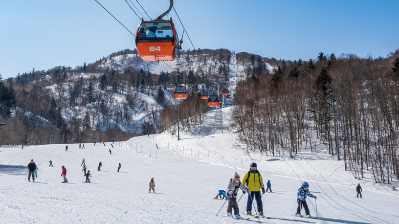 Skiers on a mountain with red ski gondolas overhead