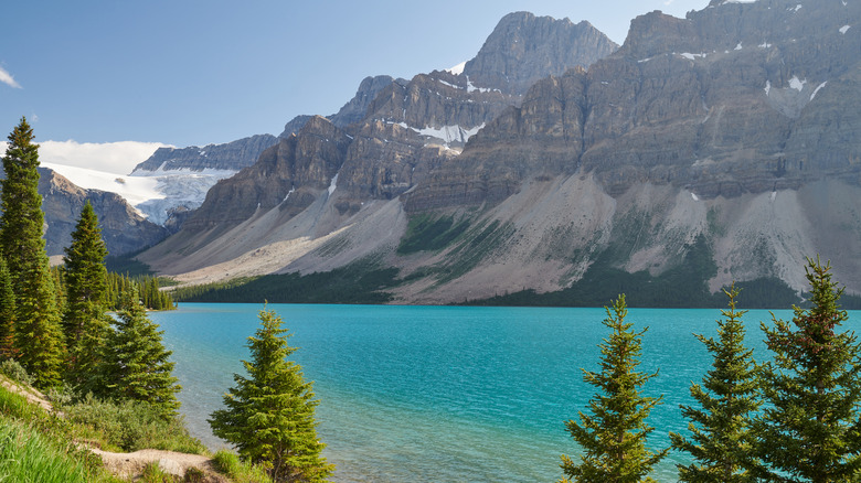 Bow Lake at Banff Park