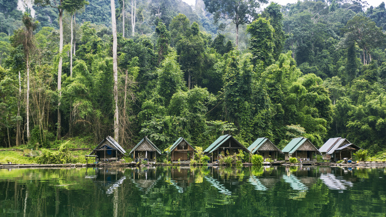Cabins at Khao Sok