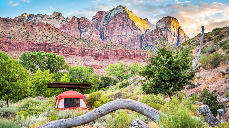 Tent in Zion National Park