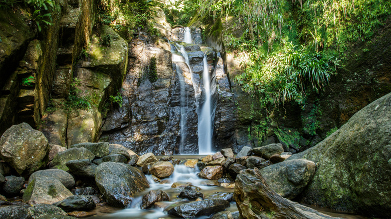 A waterfall trickles down a limestone wall in Tijuca National Park
