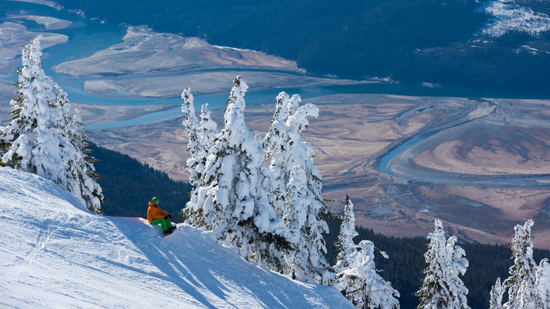 A snowboarder between two snow-caked trees in Revelstoke, BC