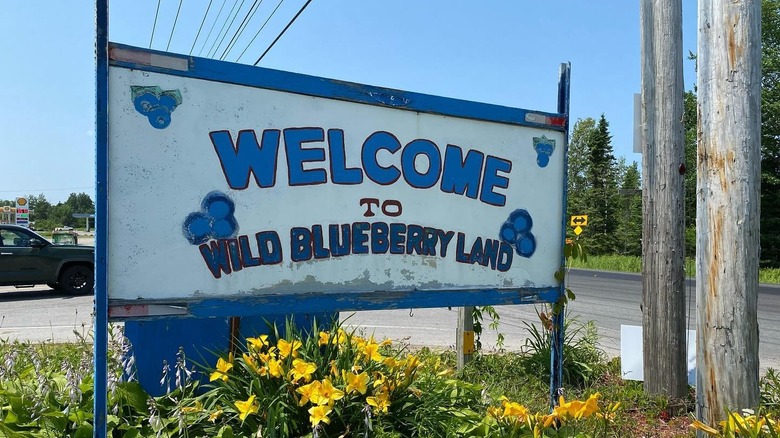 Wild Blueberry Land sign in Columbia Falls, Maine