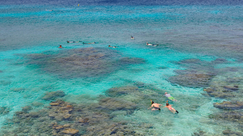 People snorkeling at a coral reef in Bonaire