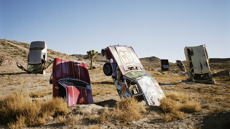 Cars sticking out of car forest
