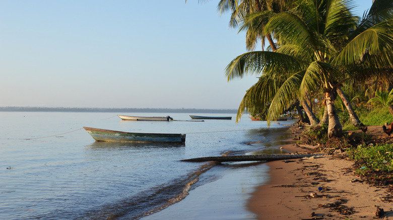 Beach with boat and palm trees in Suriname