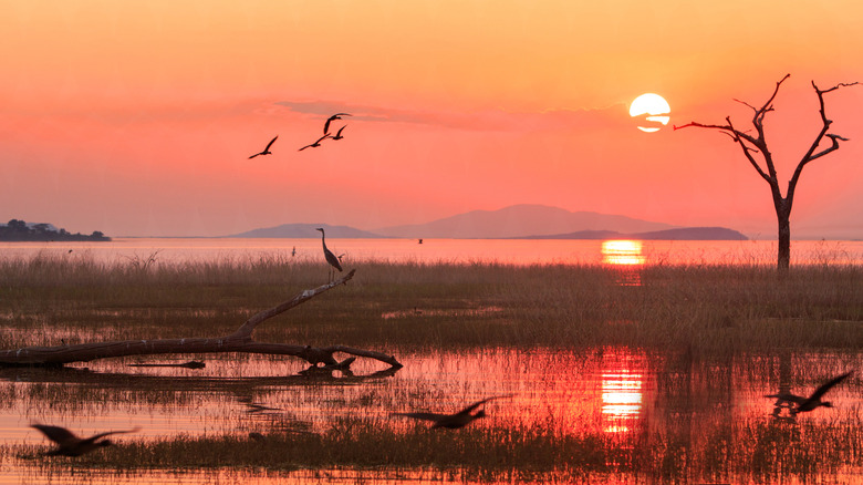 Sunset view over Lake Kariba
