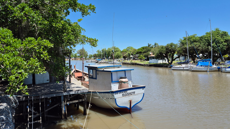 Boats docked on the lagoon shores of São Lourenço do Sul in Brazil