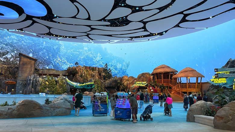 Families at SeaWorld Yas Island, Abu Dhabi