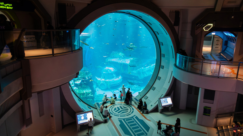 Viewing window at SeaWorld Yas Island, Abu Dhabi