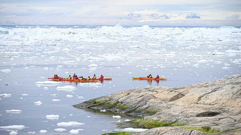 Tourists in bright red kayaks paddle among icebergs in Disko Bay in the Ilulissat Icefjord, a UNESCO World Heritage site in Greenland