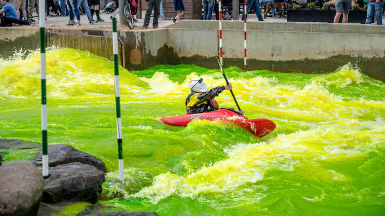 Kayaker racing in dyed-green river