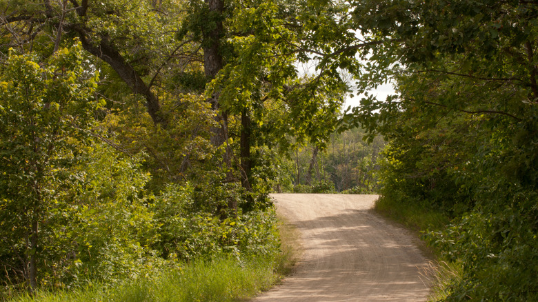 Maplewood State Park Trail near Pelican Rapids, Minnesota