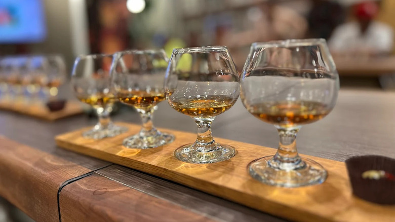 Rum at Casa BACARDI in Puerto Rico