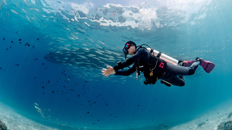 Man scuba diving in clear blue water surrounded by fish