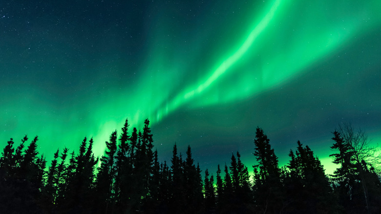 A view of the Aurora Borealis (Northern Lights) dancing across the night sky in Chena, Alaska