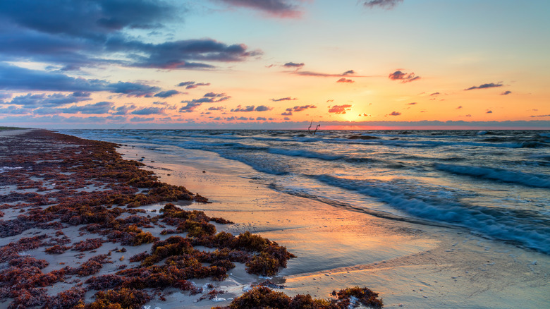 A view of Padre Island at sunset