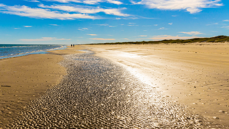 The beach at Padre Island