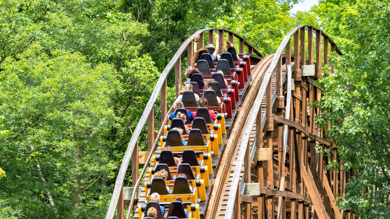 Roller coaster going into trees with backs of people's heads shown