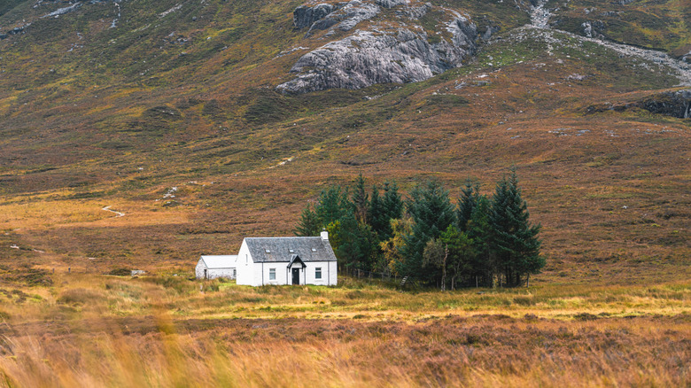 Remote white cottage standing in a moody landscape with tall grass and hills