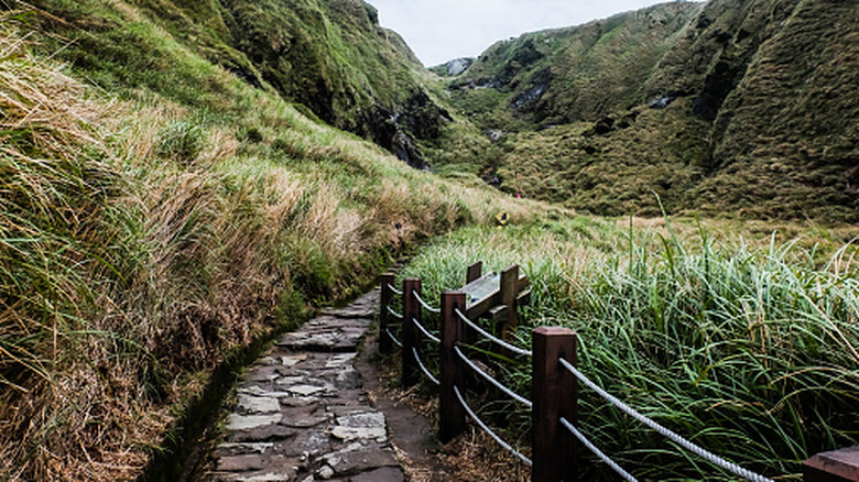 A hiking path cutting through a tropical national park