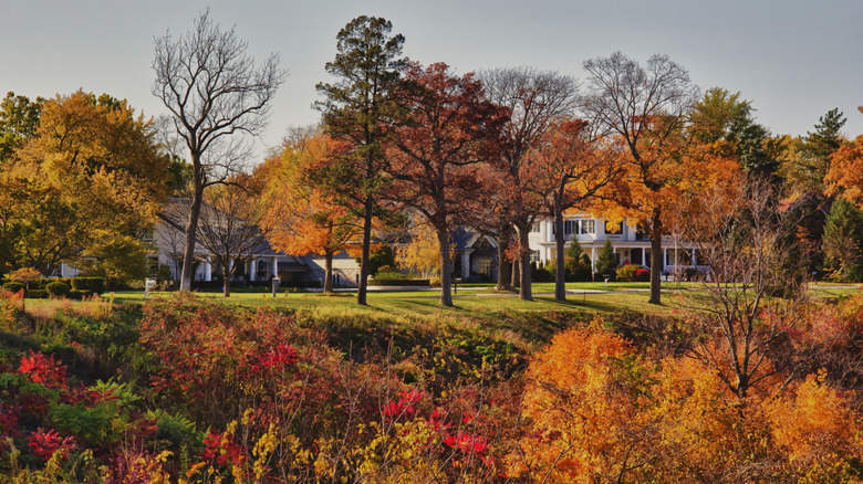 Grandview Drive autumn foliage, Peoria, Illinois
