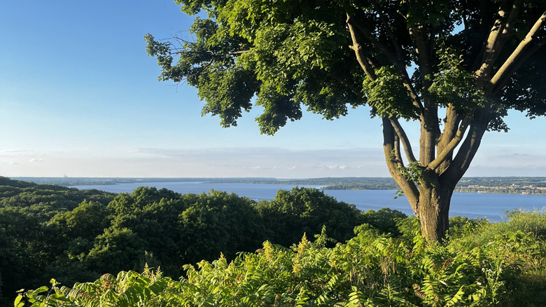Peoria Lake view from Grandview Park
