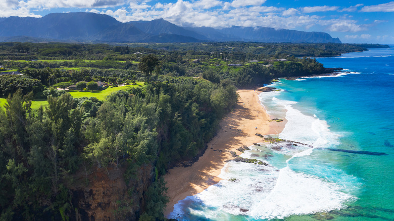 Secret beach also known as Kauapea beach.