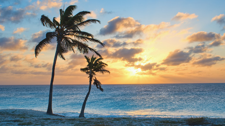 Sunset on Pink beach, Bonaire.