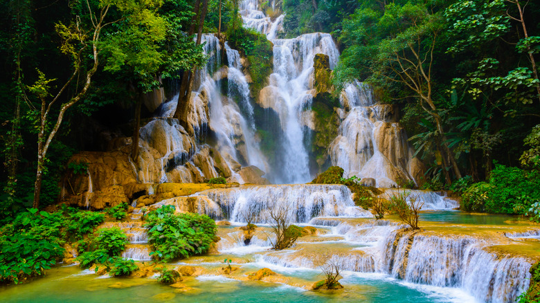 Kuang Si Waterfalls and trees