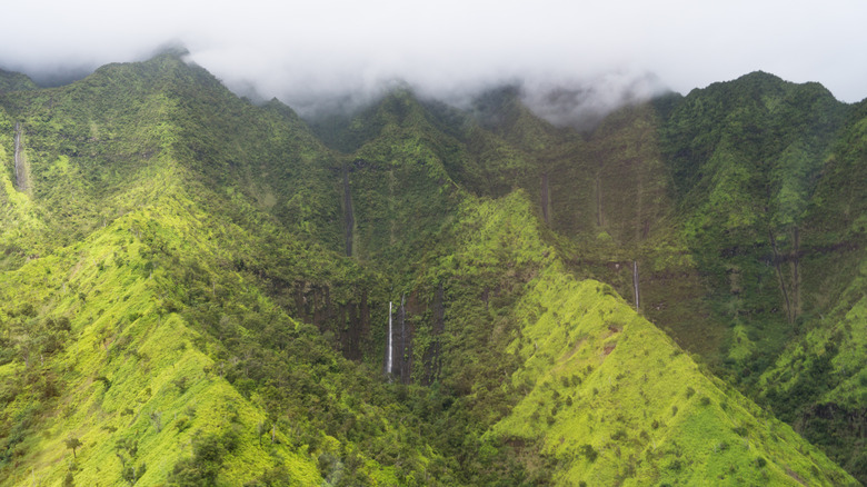 waterfalls and mountains of Weeping Wall, Hawaii