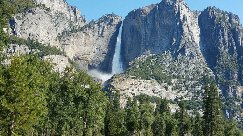 Yosemite falls and surrounding mountains and trees
