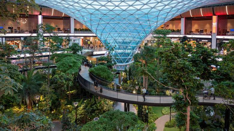 Top view of The Orchard, Doha airport's indoor garden and glass rooftop